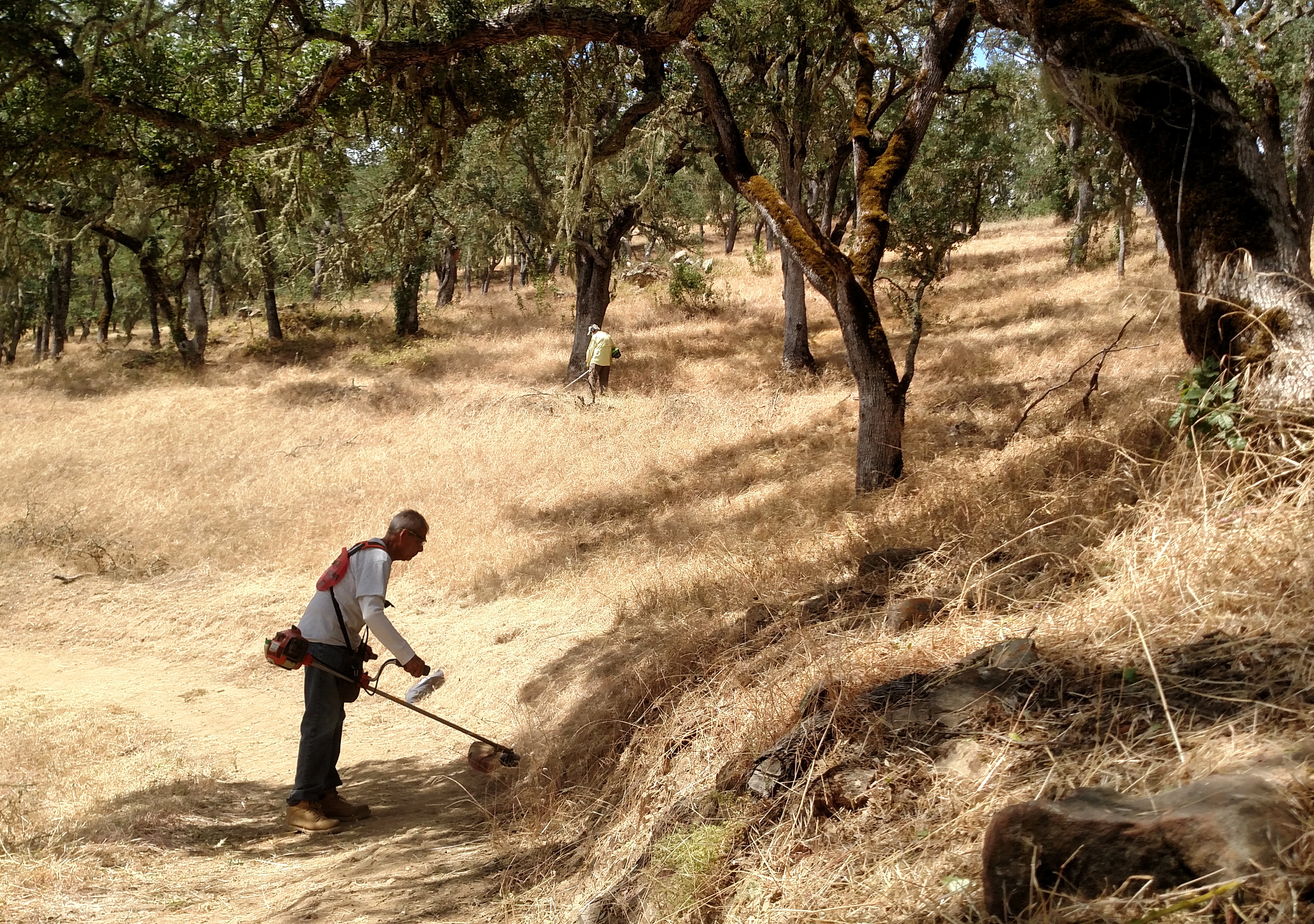 Phil and Doug trimming back the dry grass!